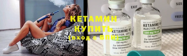 крисы Алексин