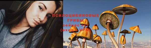 МДПВ Алзамай