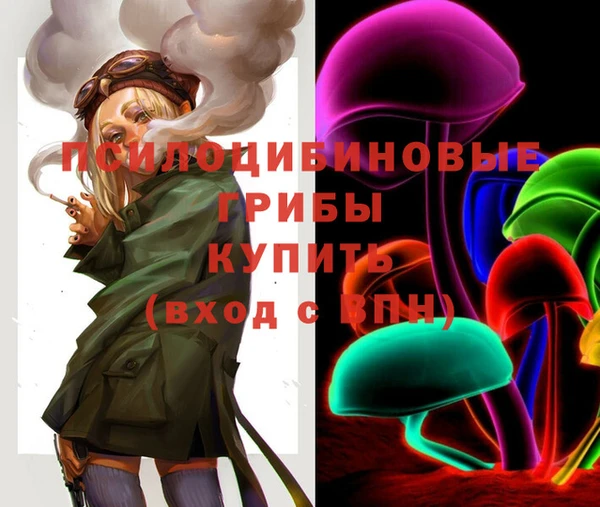 spice Нягань