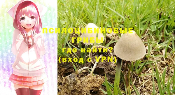 spice Нягань