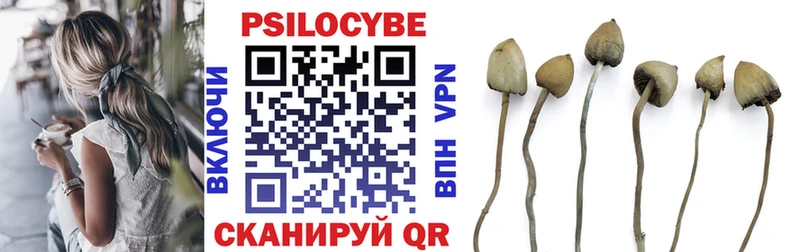 Псилоцибиновые грибы Cubensis  Спасск 